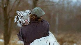 צילום: פייסבוק